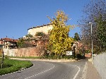 Autunno su piazzetta Mirafiori (Foto A. Cane 1951)