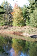 Il lago degli aironi nel Parco forestale del Roero (Foto M. Coraglia)