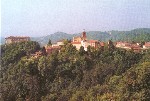 Panorama dal Bricco (Foto A. Cane 1948)