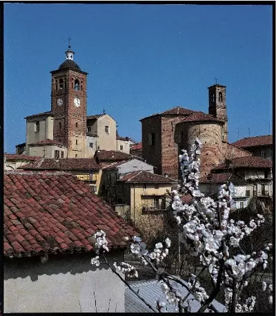 Peschi in fiore in centro storico (Foto di Gian Tortore)