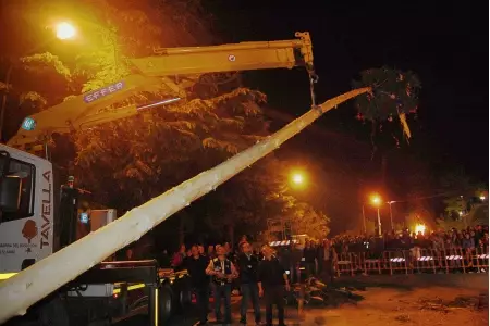 La cerimonia dell&#39innalzamento del pino in piazza a San Giuseppe