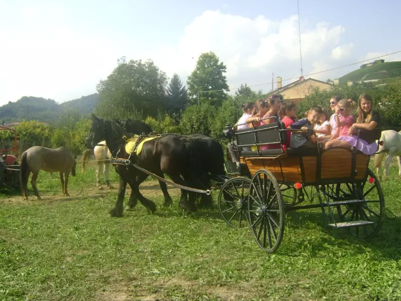 Tutti in festa!