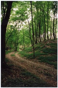 Verde e relax nel parco